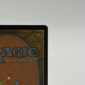 Magic The Gathering - Roaming Throne Borderless R #0344 LCI NM FRENLY BRICKS - Open 7 Days