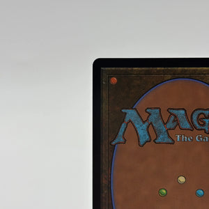 Magic The Gathering - Takenuma, Abandoned Mire R 278/302 NEO Neon Dynasty NM FRENLY BRICKS - Open 7 Days