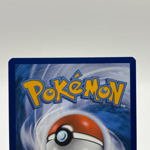 Pokemon TCG Sword Shield Promos - Squirtle SWSH233 Black Star Promo LP FRENLY BRICKS - Open 7 Days