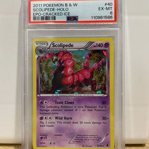2011 Pokemon B & W Cracked Ice Holo Scolipede 40/98 PSA 6 FRENLY BRICKS - Open 7 Days
