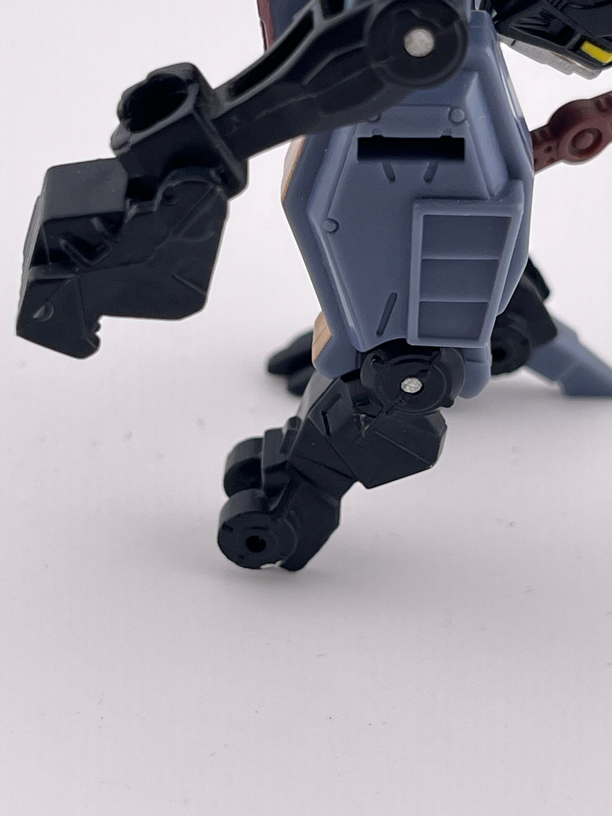 Transformers Energon Command Ravage complete Hasbro Terrorcon Basic Class 2003 FRENLY BRICKS - Open 7 Days