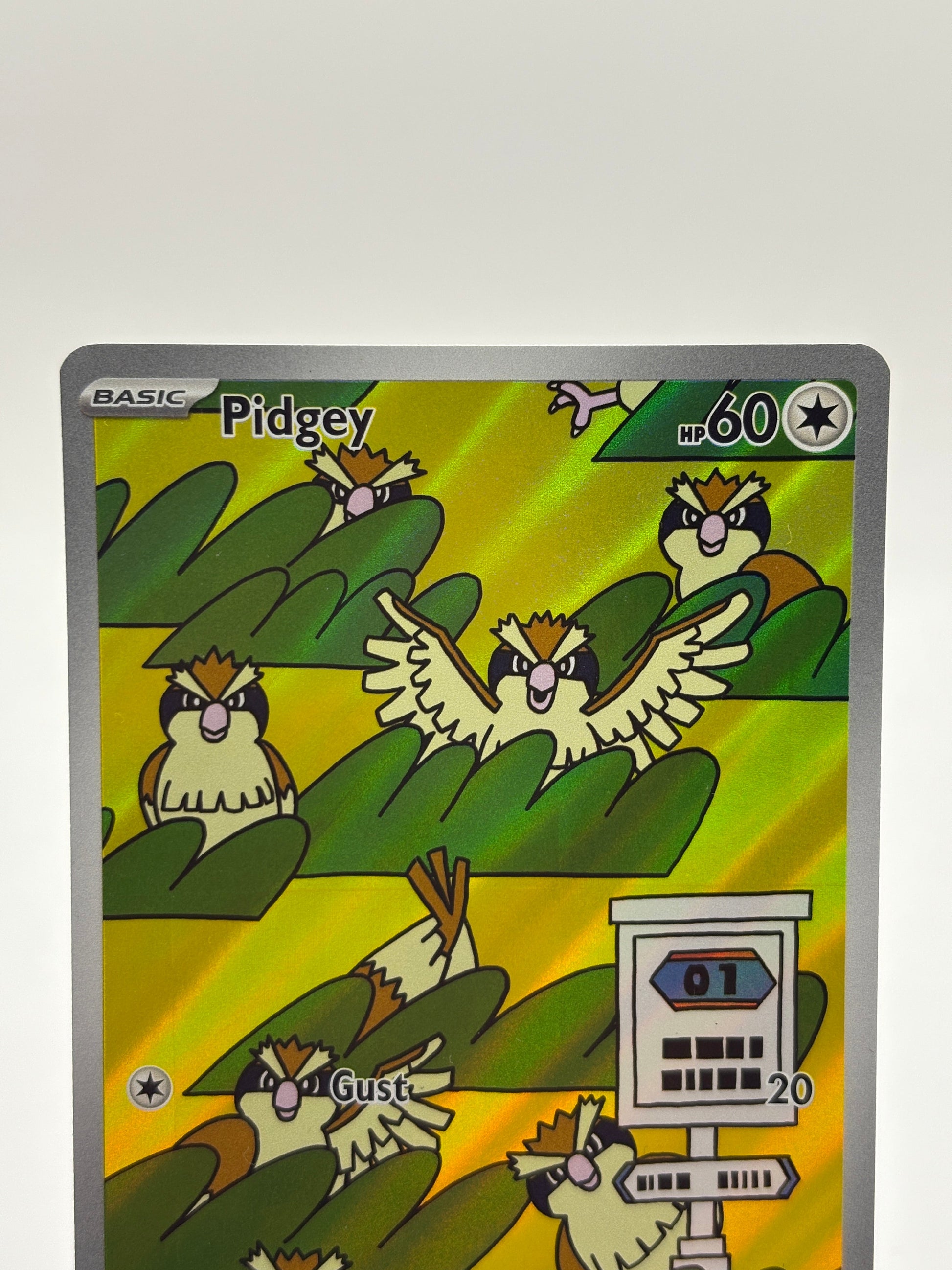 Pokemon TCG Obsidian Flames - Pidgey 207/197 Illustration Rare LP FRENLY BRICKS - Open 7 Days