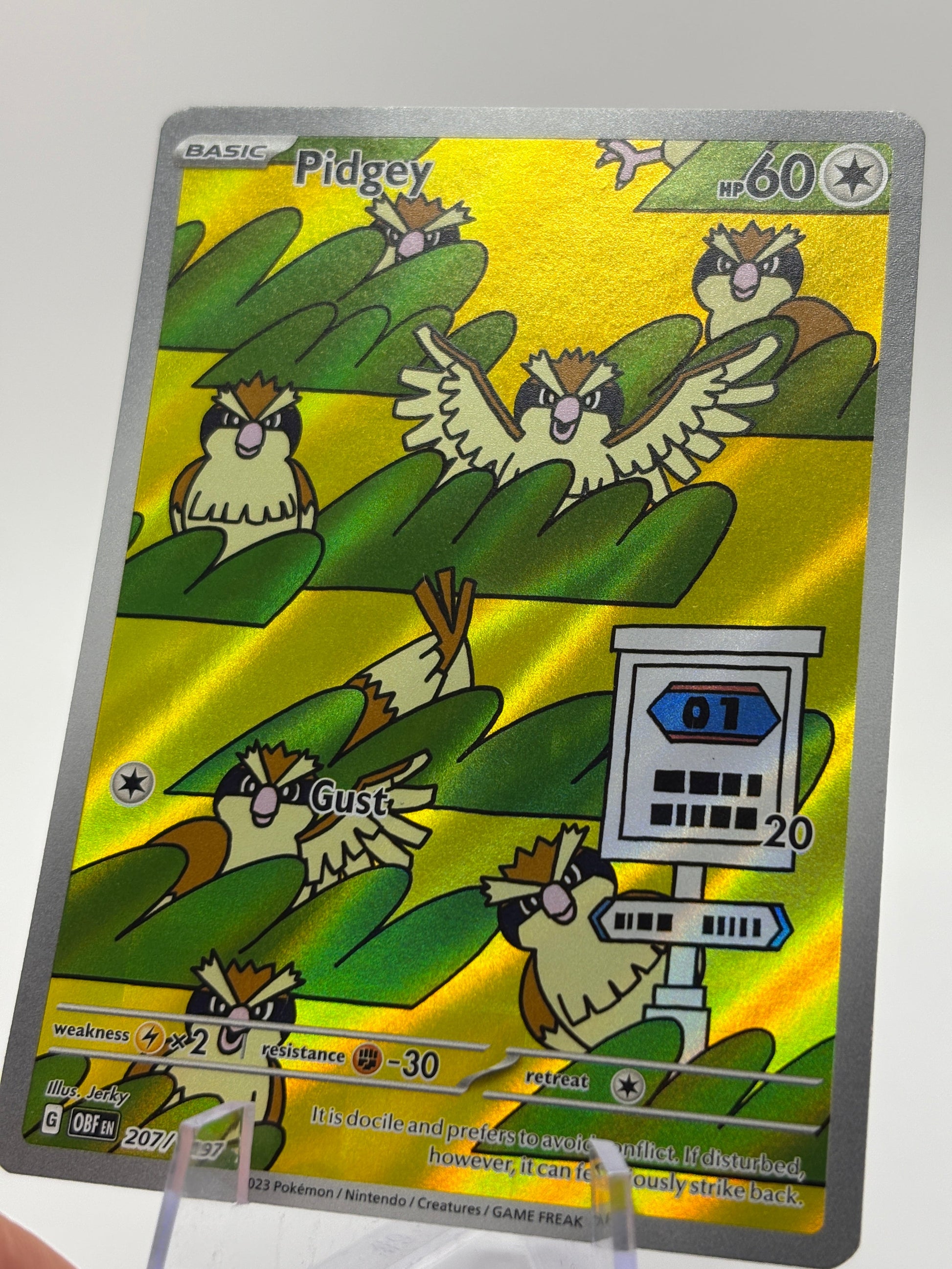 Pokemon TCG Obsidian Flames - Pidgey 207/197 Illustration Rare LP FRENLY BRICKS - Open 7 Days