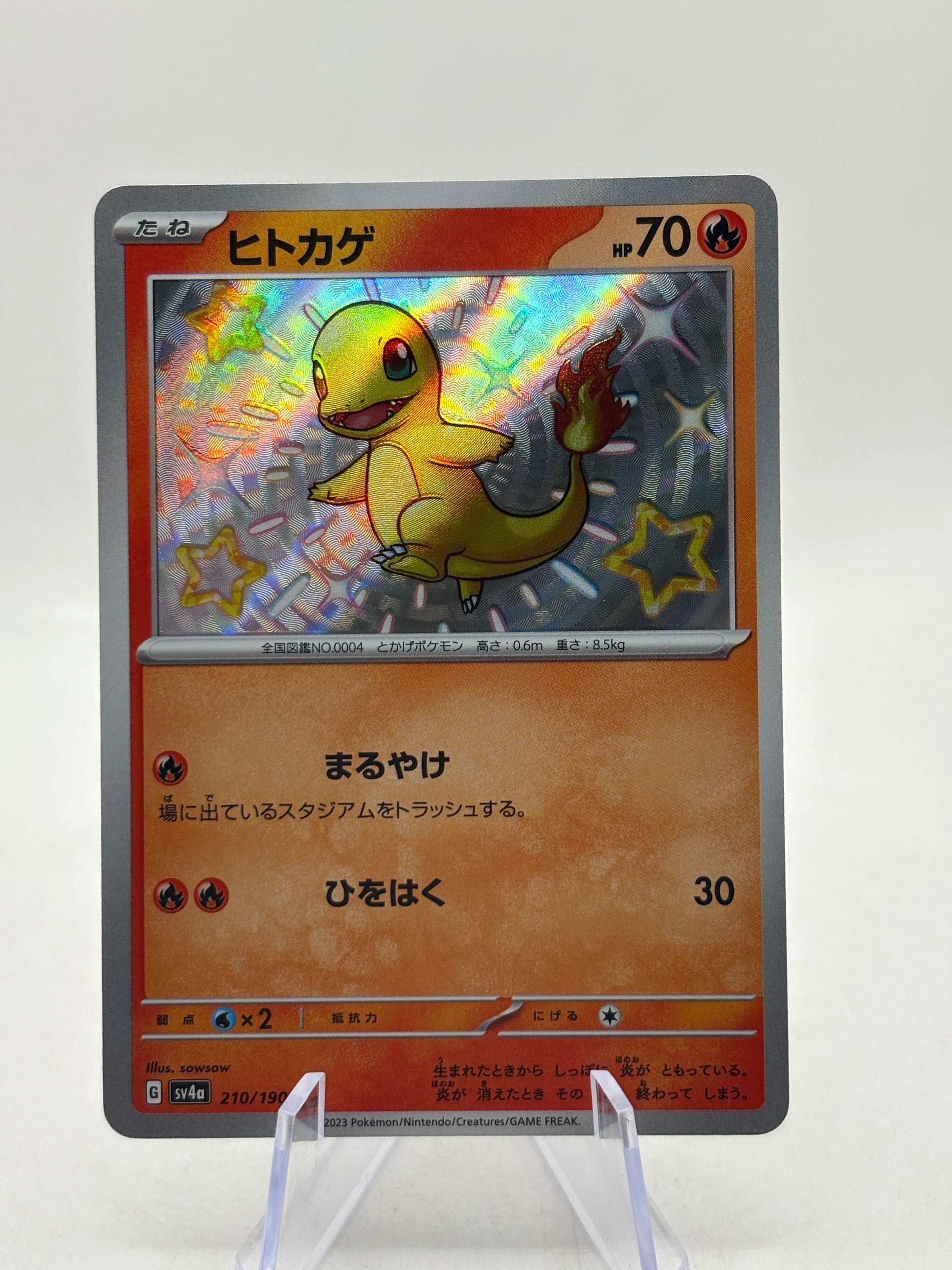Pokemon TCG Japanese sv4a - Charmander 210/190 Basic Shiny NM FRENLY BRICKS - Open 7 Days