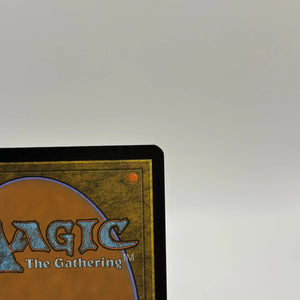 Magic The Gathering - Mythic Allosaurus Shepherd #365 2X2 Borderless LP FRENLY BRICKS - Open 7 Days