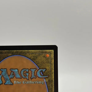 Magic The Gathering - Branching Evolution Rare 029/078 JMP Jumpstart LP FRENLY BRICKS - Open 7 Days