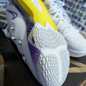 NIKE LEBRON XVII 17 LOW LAKERS BASKETBALL SHOES WHITE RARE CD5007-102 (SIZE 10) used FRENLY BRICKS - Open 7 Days