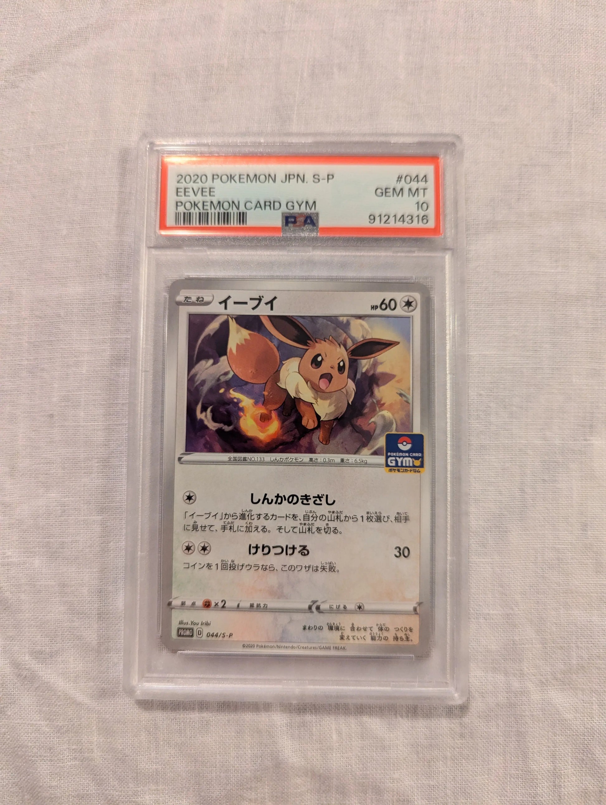 2020 Pokemon Japanese Eevee #44 Gym Card PSA 10 promo FRENLY BRICKS - Open 7 Days