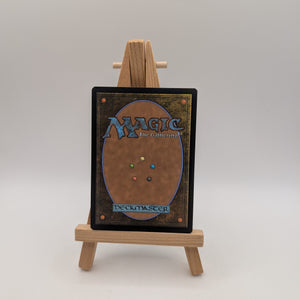 MTG Overlord of the Hauntwoods Extended Art #0383 Duskmourn DSK NM FRENLY BRICKS - Open 7 Days