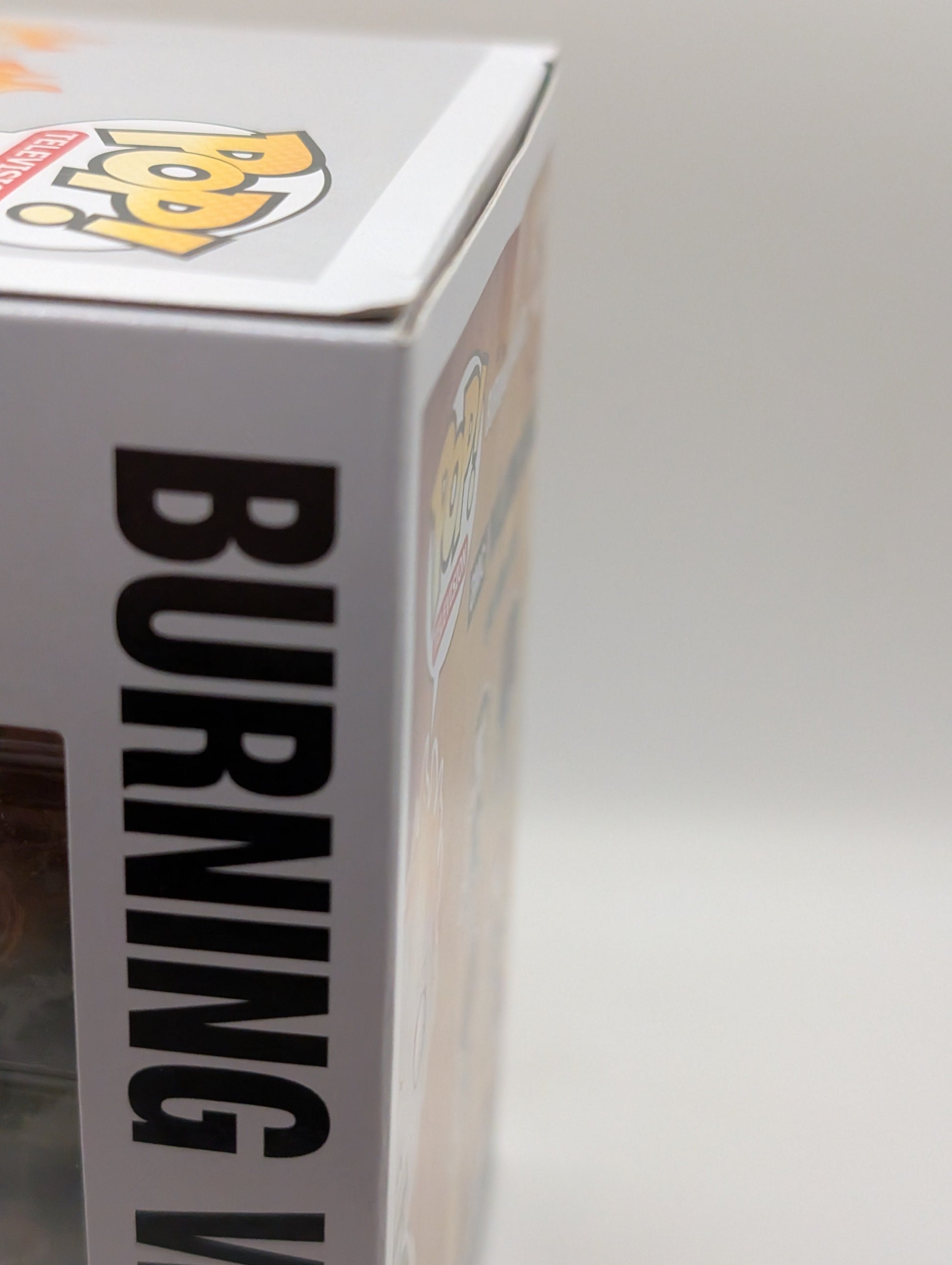 Funko Pop The Walking Dead - Burning Walker #354 Signed COA Greg Nicotero FRENLY BRICKS - Open 7 Days