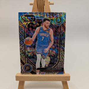 2024-25 Panini Select Chet Holmgren #222 Elephant Prizm Case Hit SSP FRENLY BRICKS - Open 7 Days