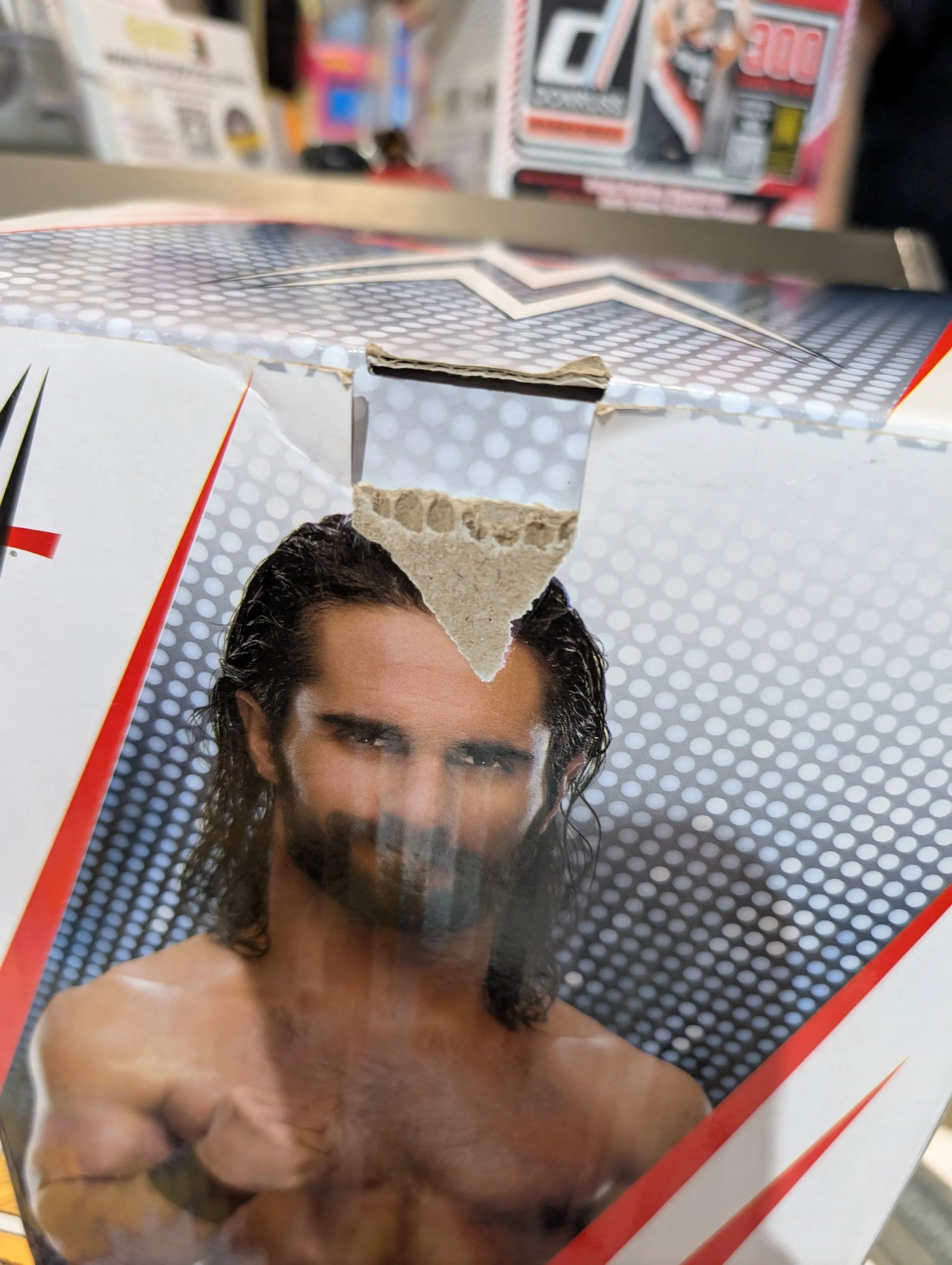WWE Seth Rollins Bobblehead
WWE Foco Bobbleheads FRENLY BRICKS - Open 7 Days