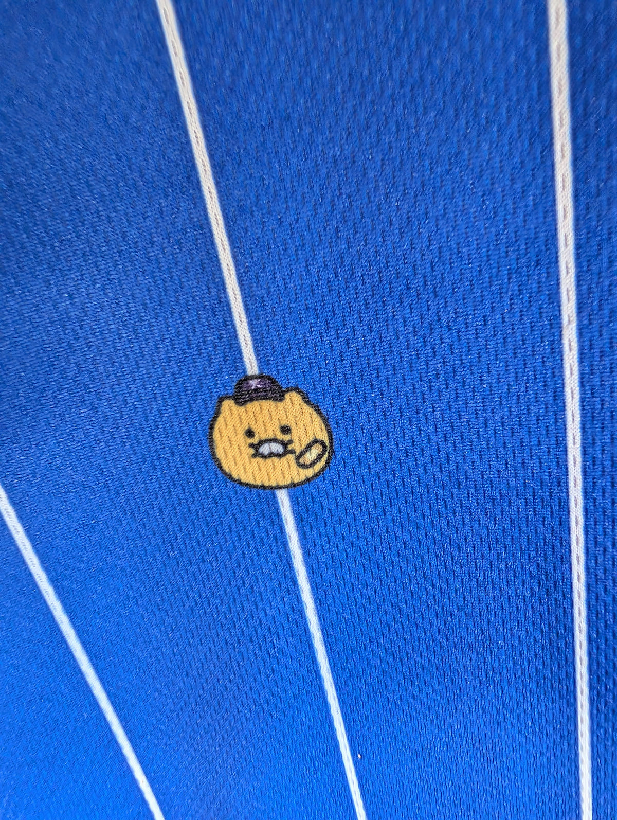Pro Specs X Kakao Friends Sports for All Choonsik the Cat KBO National Team 2024 XXL, photo 19 image 19
