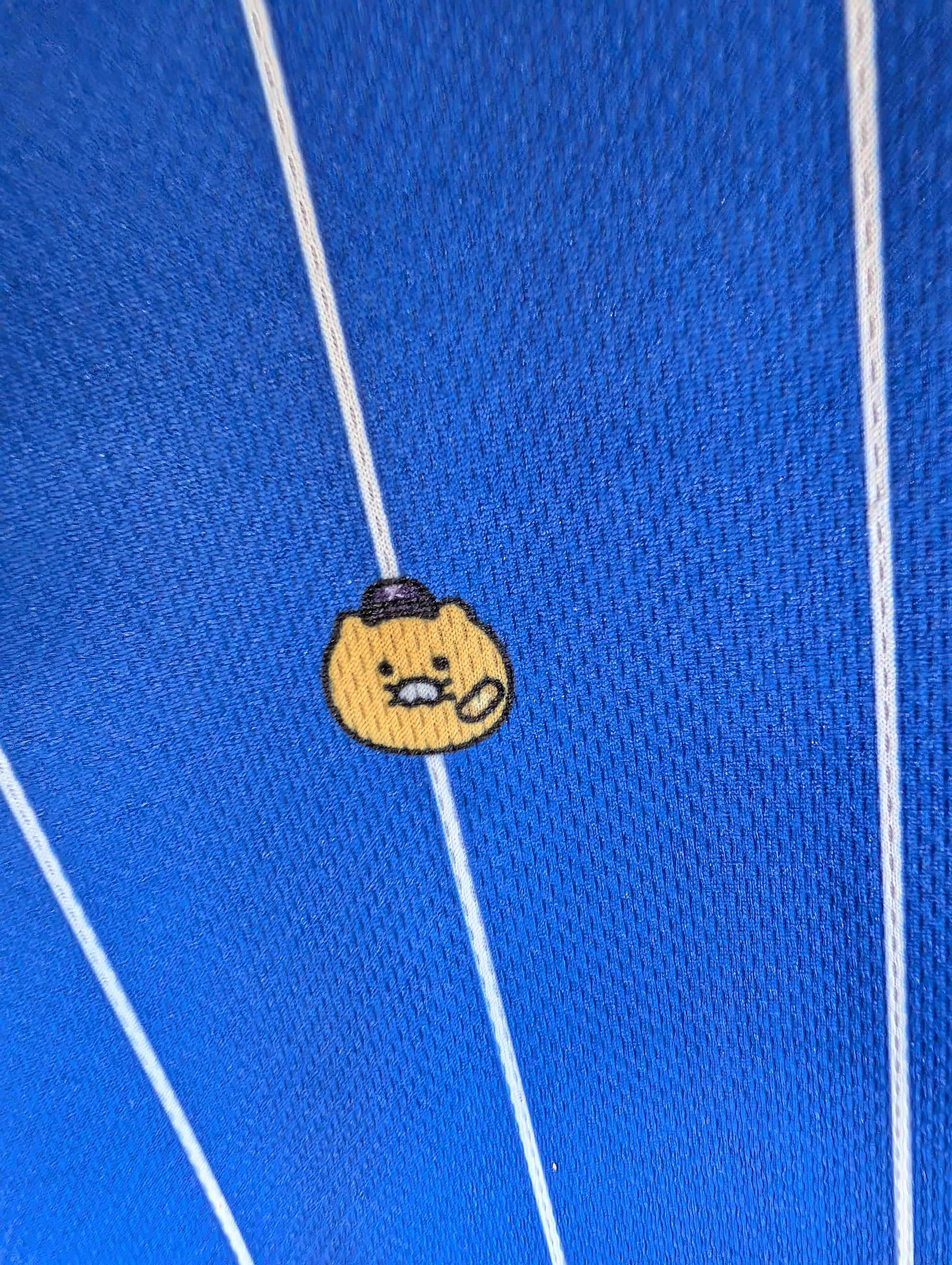 Pro Specs X Kakao Friends Sports for All Choonsik the Cat KBO National Team 2024 XXL