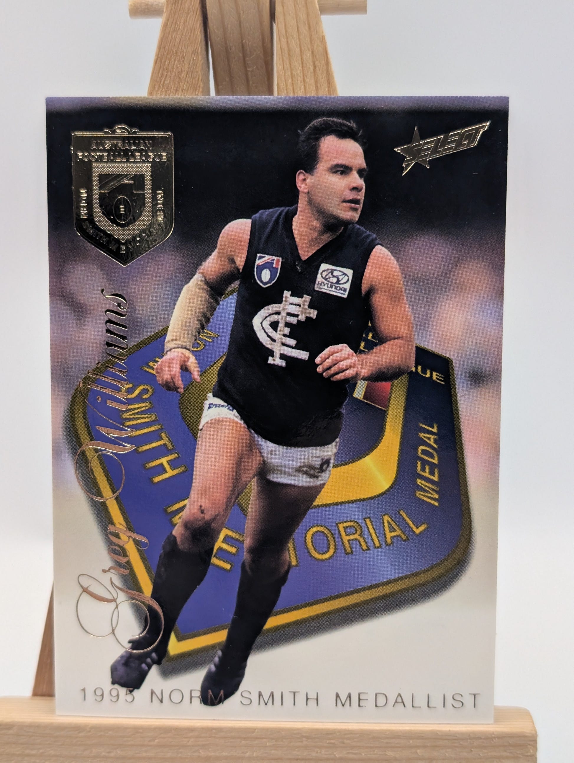1996 Select AFL Trading Card Series 1 Medal Card MC3 Greg Williams ( Norm Smith) FRENLY BRICKS - Open 7 Days image 2