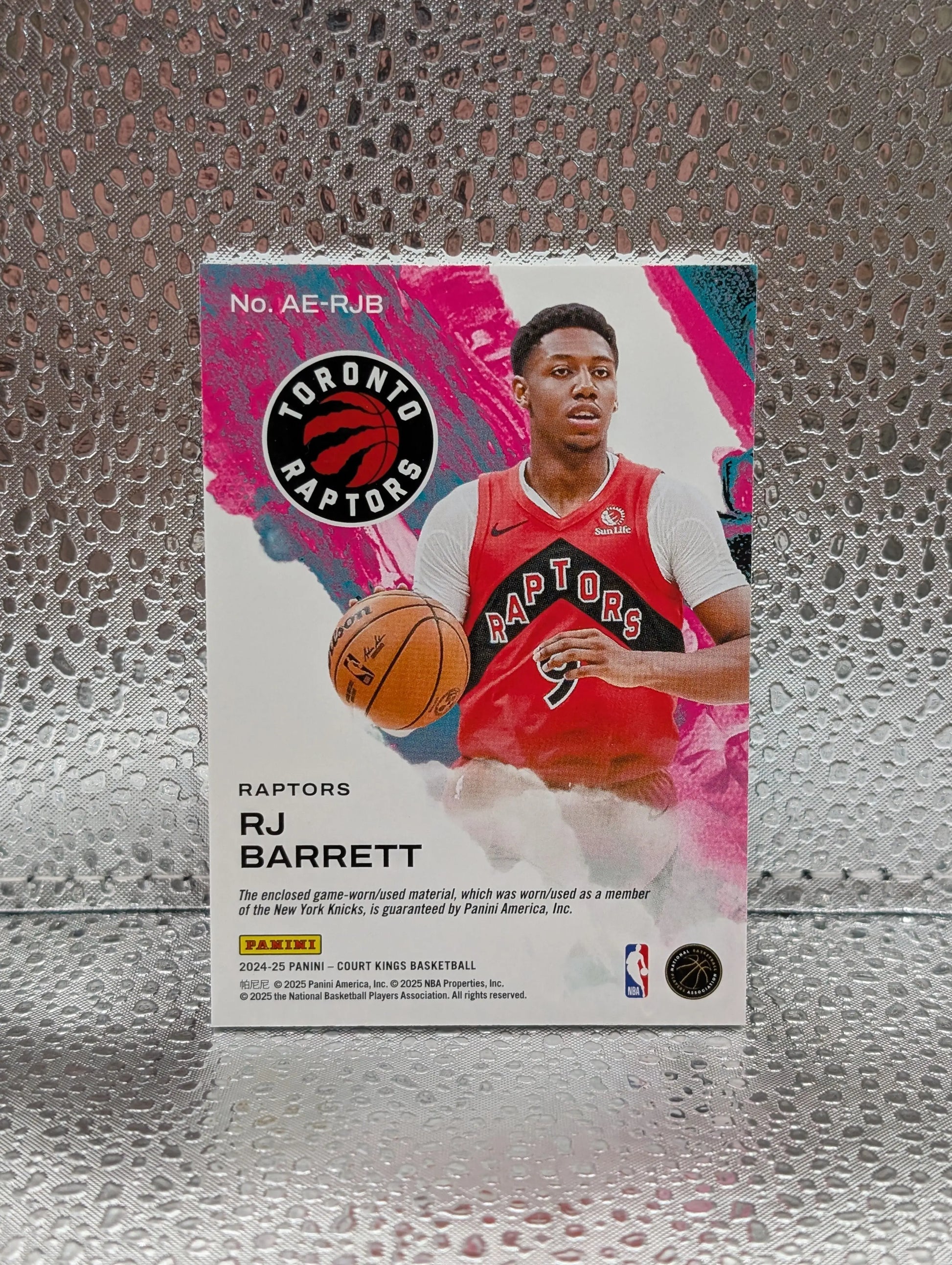 2024-25 Court Kings RJ BARRETT Artistic Endeavors Jersey Relic #RJB (C) FRENLY BRICKS - Open 7 Days