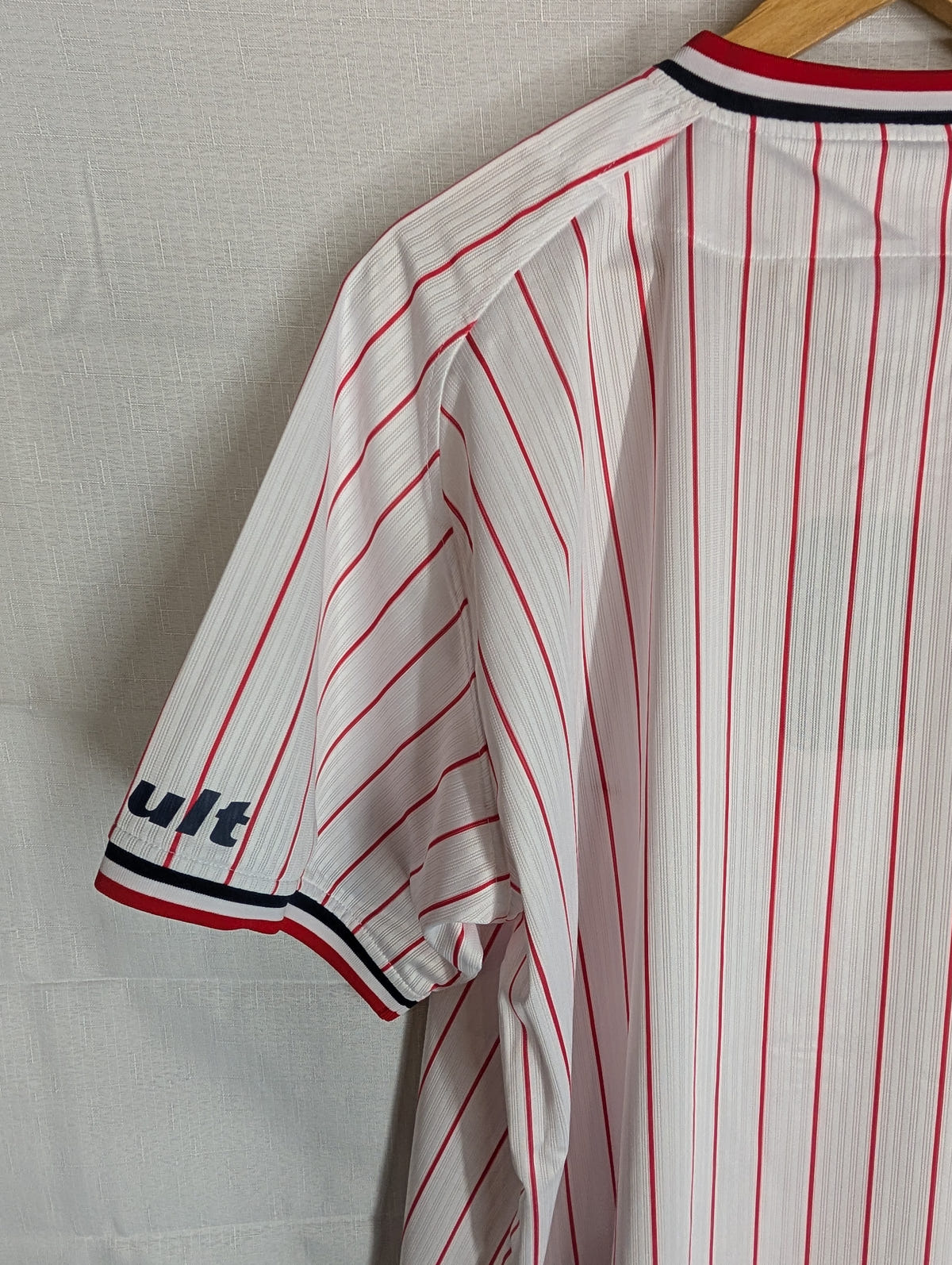 Nippon Baseball Tokyo Yakult Swallows 2016-2019 Home White/Red Blank XL Jersey, photo 12 image 12