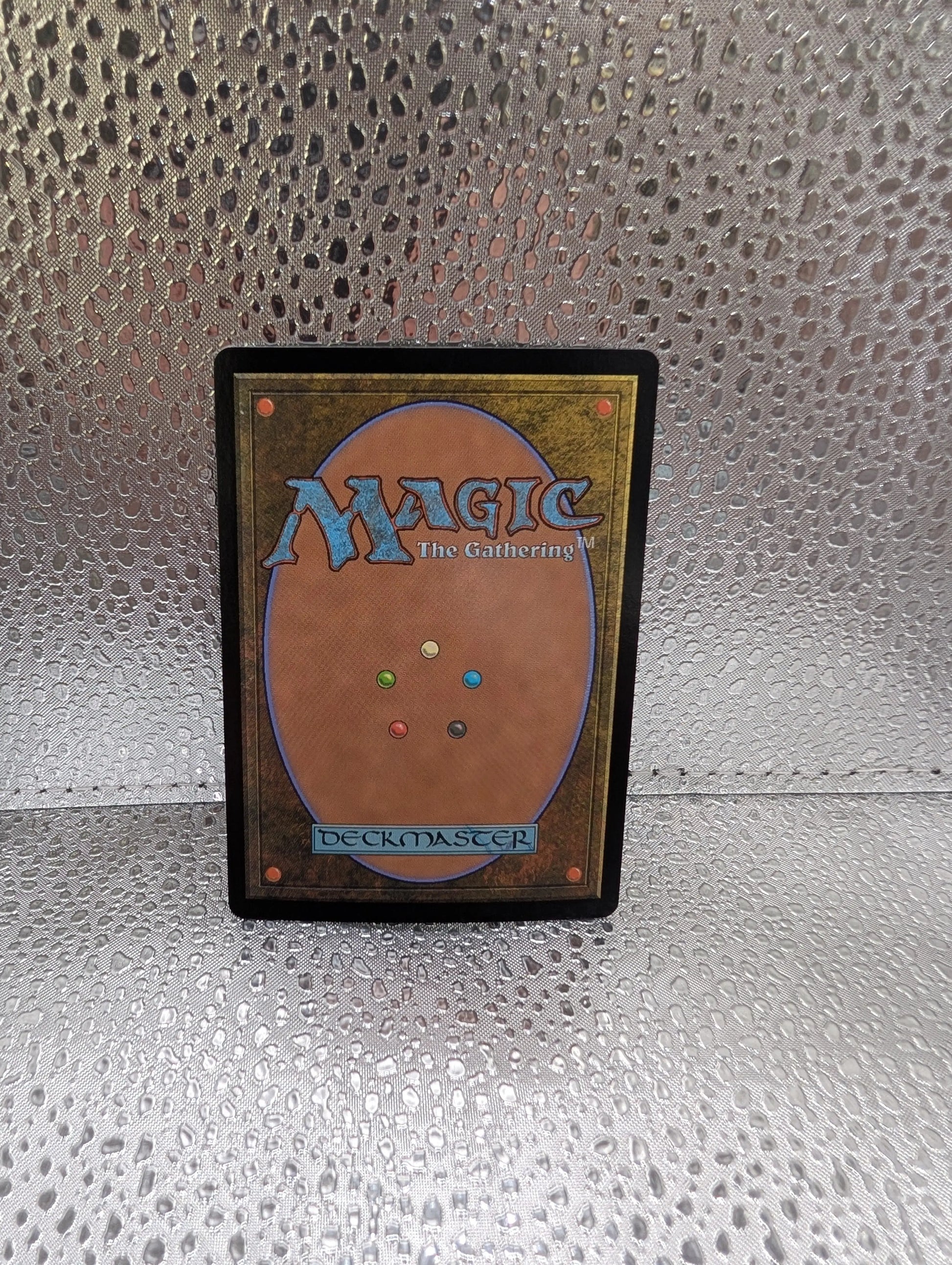 Dawns Truce  Showcase FOIL #295 | BLB Bloomburrow | MTG FRENLY BRICKS - Open 7 Days