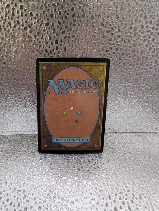 Dawns Truce  Showcase FOIL #295 | BLB Bloomburrow | MTG FRENLY BRICKS - Open 7 Days