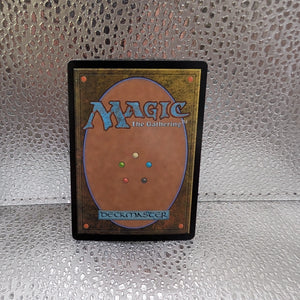 Dawns Truce  Showcase FOIL #295 | BLB Bloomburrow | MTG FRENLY BRICKS - Open 7 Days