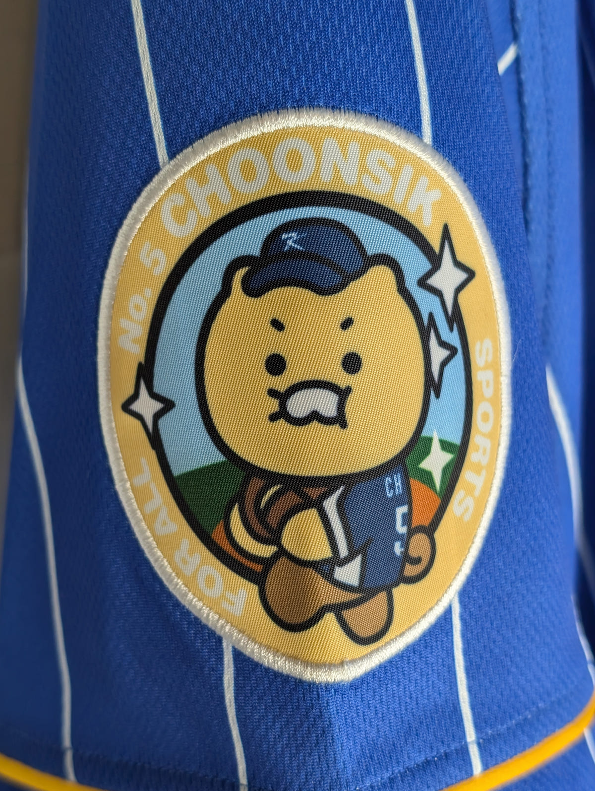 Pro Specs X Kakao Friends Sports for All Choonsik the Cat KBO National Team 2024 XXL, photo 7 image 7