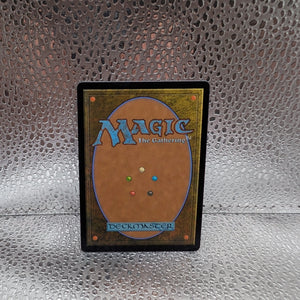 Virtue of Loyalty Showcase #277 MTG Wilds of Eldraine WOE FRENLY BRICKS - Open 7 Days
