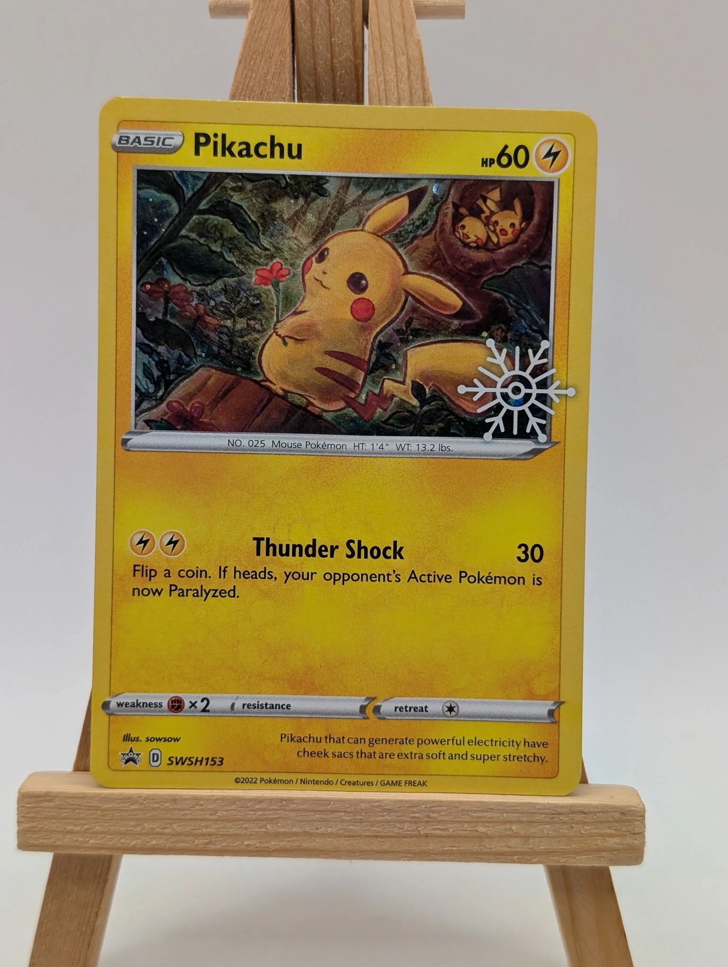 PIKACHU SWSH153 PROMO SWSH BLACK STAR POKEMON TCG FRENLY BRICKS - Open 7 Days