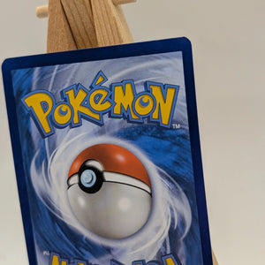 PIKACHU SWSH153 PROMO SWSH BLACK STAR POKEMON TCG FRENLY BRICKS - Open 7 Days