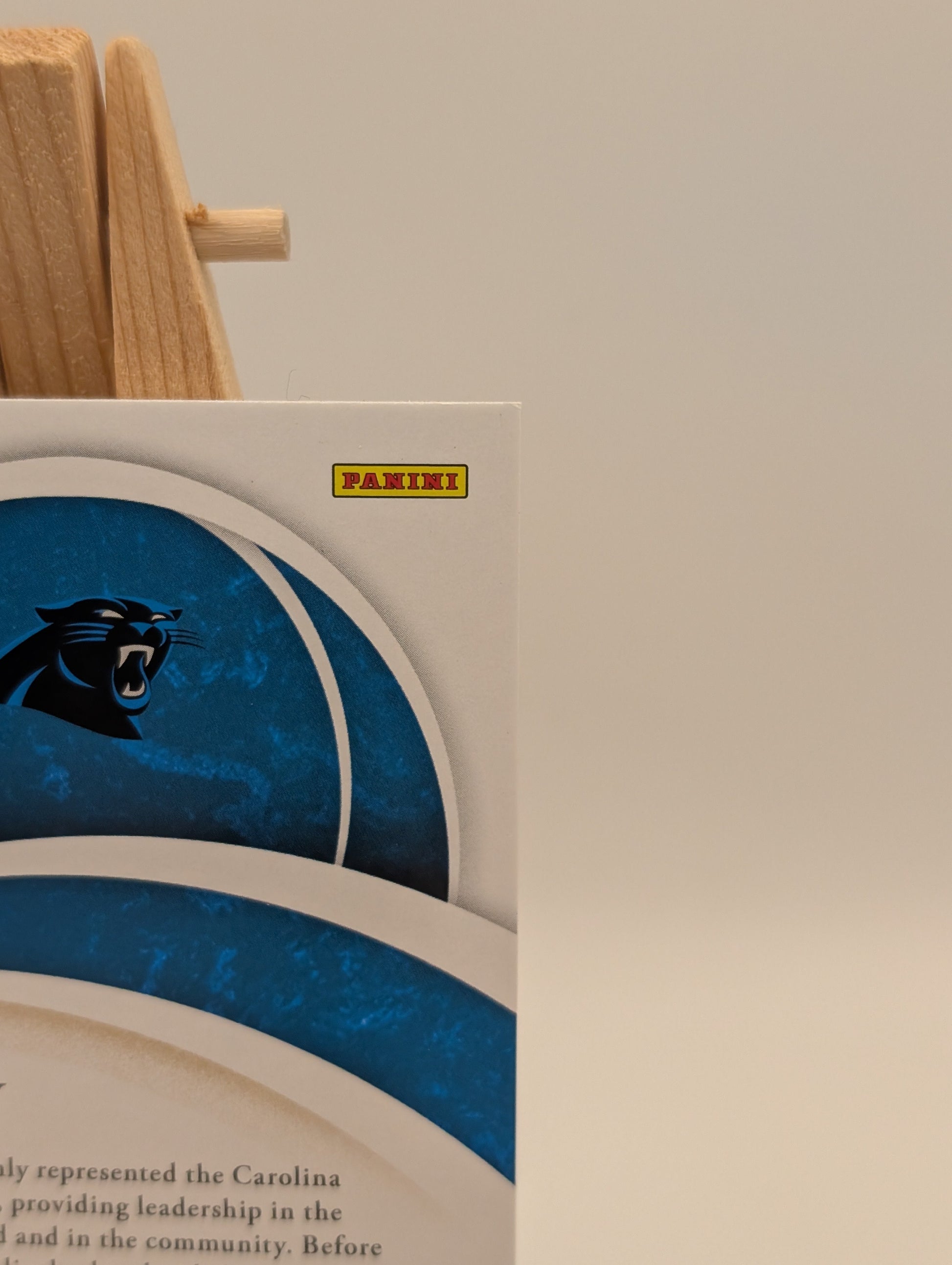 2020 Immaculate LUKE KUECHLY The Standard Jumbo Patch /25 SSP Panthers FRENLY BRICKS - Open 7 Days