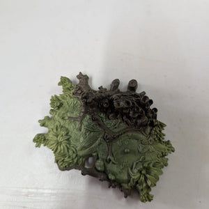 Aayla Secura Star Wars 3.75