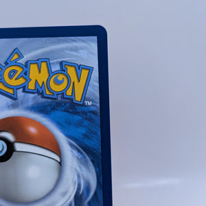 POKEMON MEGA EVOLUTION  MEGA LUCARIO EX 179/132  SPECIAL ILLUSTRATION RARE  SIR FRENLY BRICKS - Open 7 Days