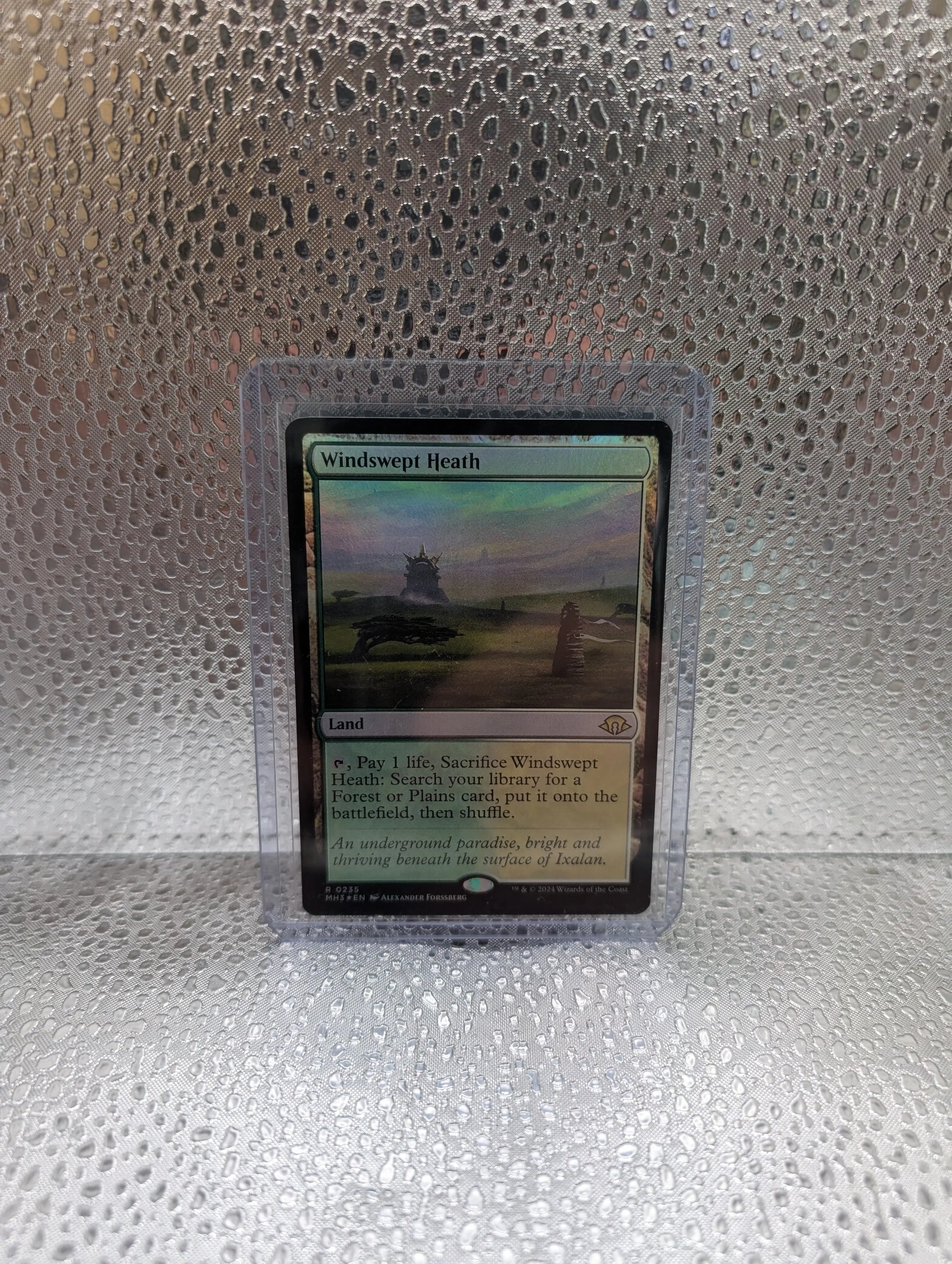 MTG Mint Singles - Windswept Heath 0235 | MH3 | Foil | NM/M FRENLY BRICKS - Open 7 Days