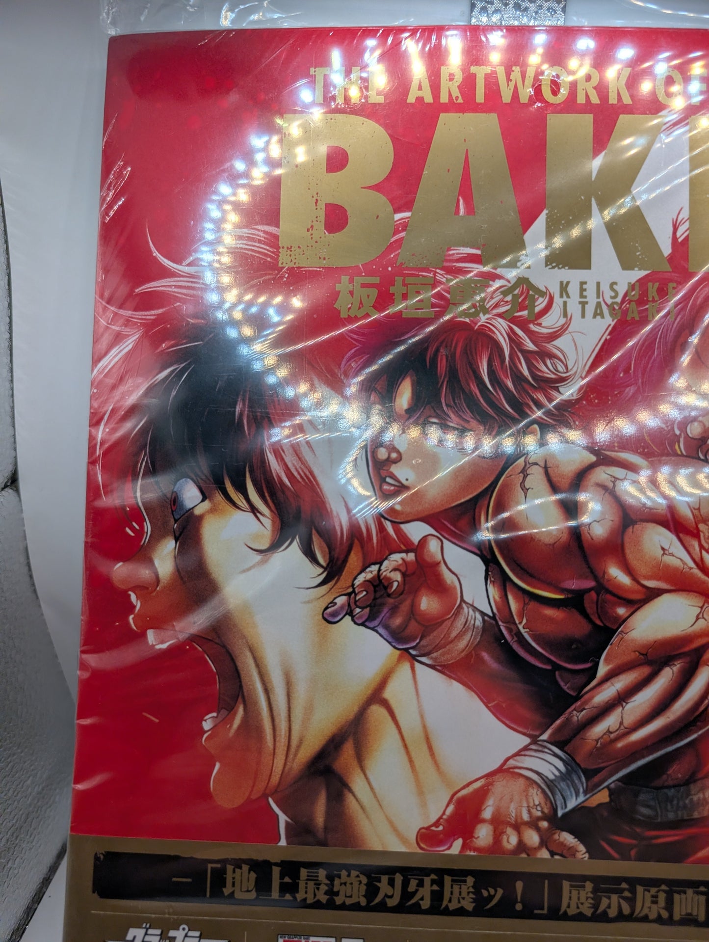 BAKI 30th Anniversary Art Book THE ARTWORK OF BAKI Large Format from Japan FRENLY BRICKS - Open 7 Days