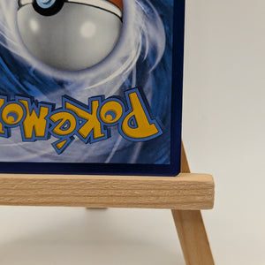 Charizard Vstar - SWSH262 - Black Star Promo - Pokemon Card FRENLY BRICKS - Open 7 Days