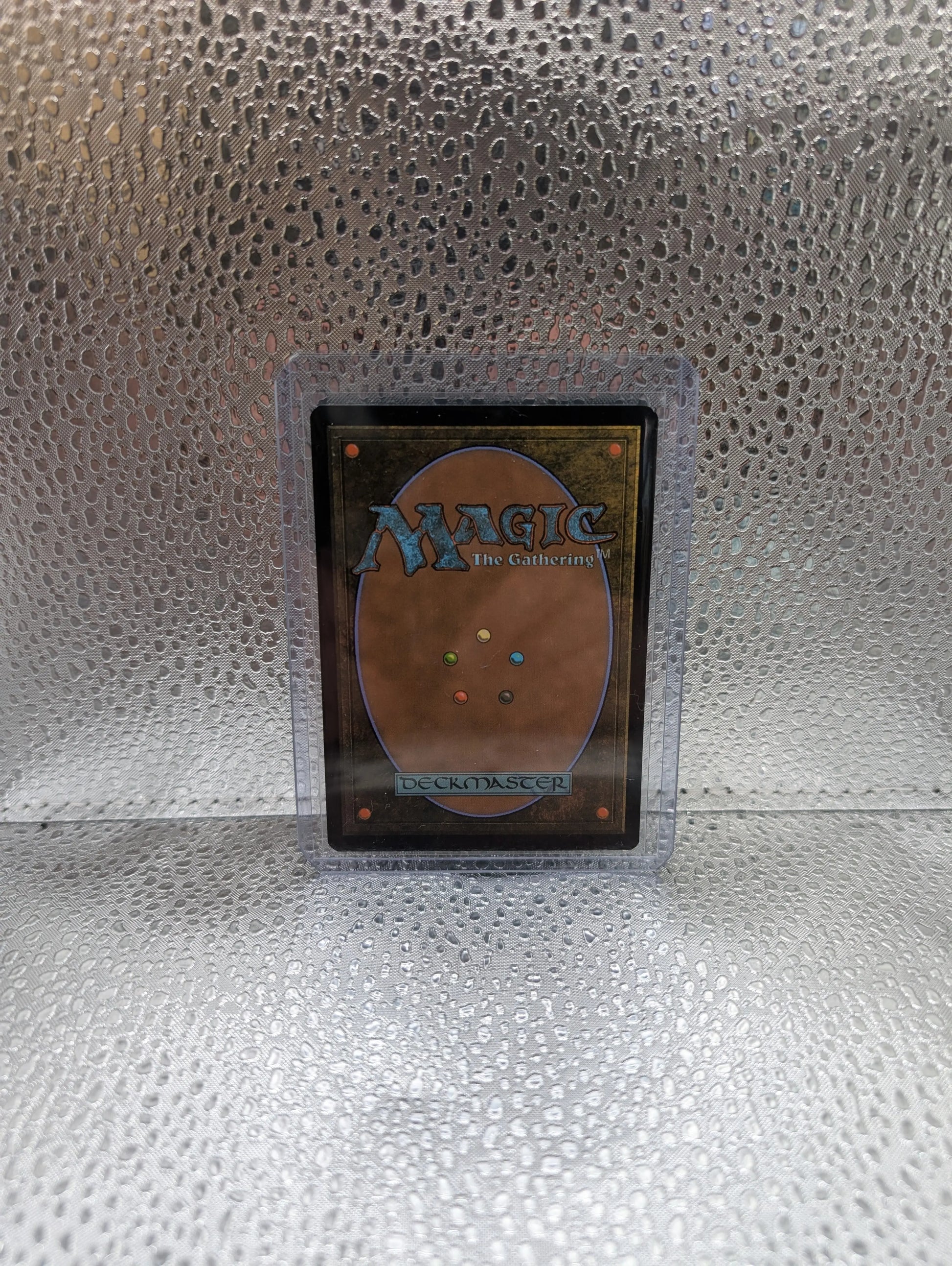 MTG Mint Singles - Windswept Heath 0235 | MH3 | Foil | NM/M FRENLY BRICKS - Open 7 Days