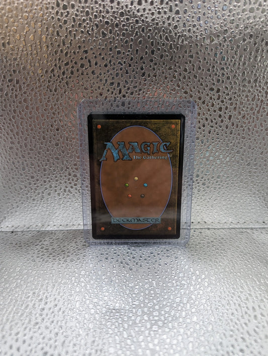 MTG Mint Singles - Windswept Heath 0235 | MH3 | Foil | NM/M FRENLY BRICKS - Open 7 Days