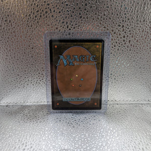 MTG Mint Singles - Windswept Heath 0235 | MH3 | Foil | NM/M FRENLY BRICKS - Open 7 Days