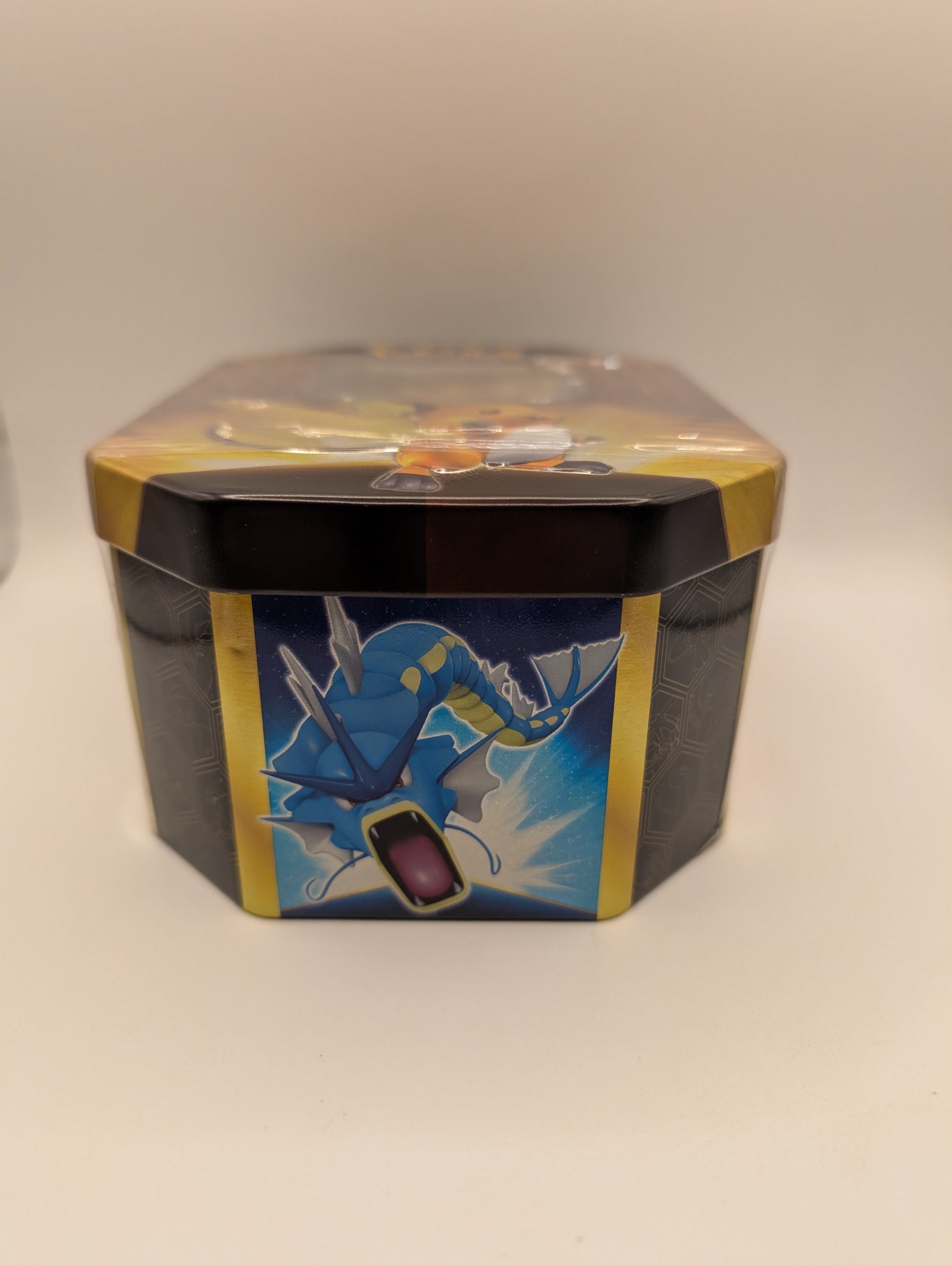 Pokemon TCG: Hidden Fates RAICHU-GX Collector's Tin Brand New & Sealed FRENLY BRICKS - Open 7 Days