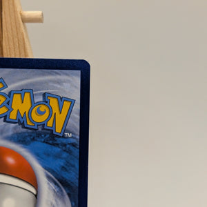 Charizard Vstar - SWSH262 - Black Star Promo - Pokemon Card FRENLY BRICKS - Open 7 Days