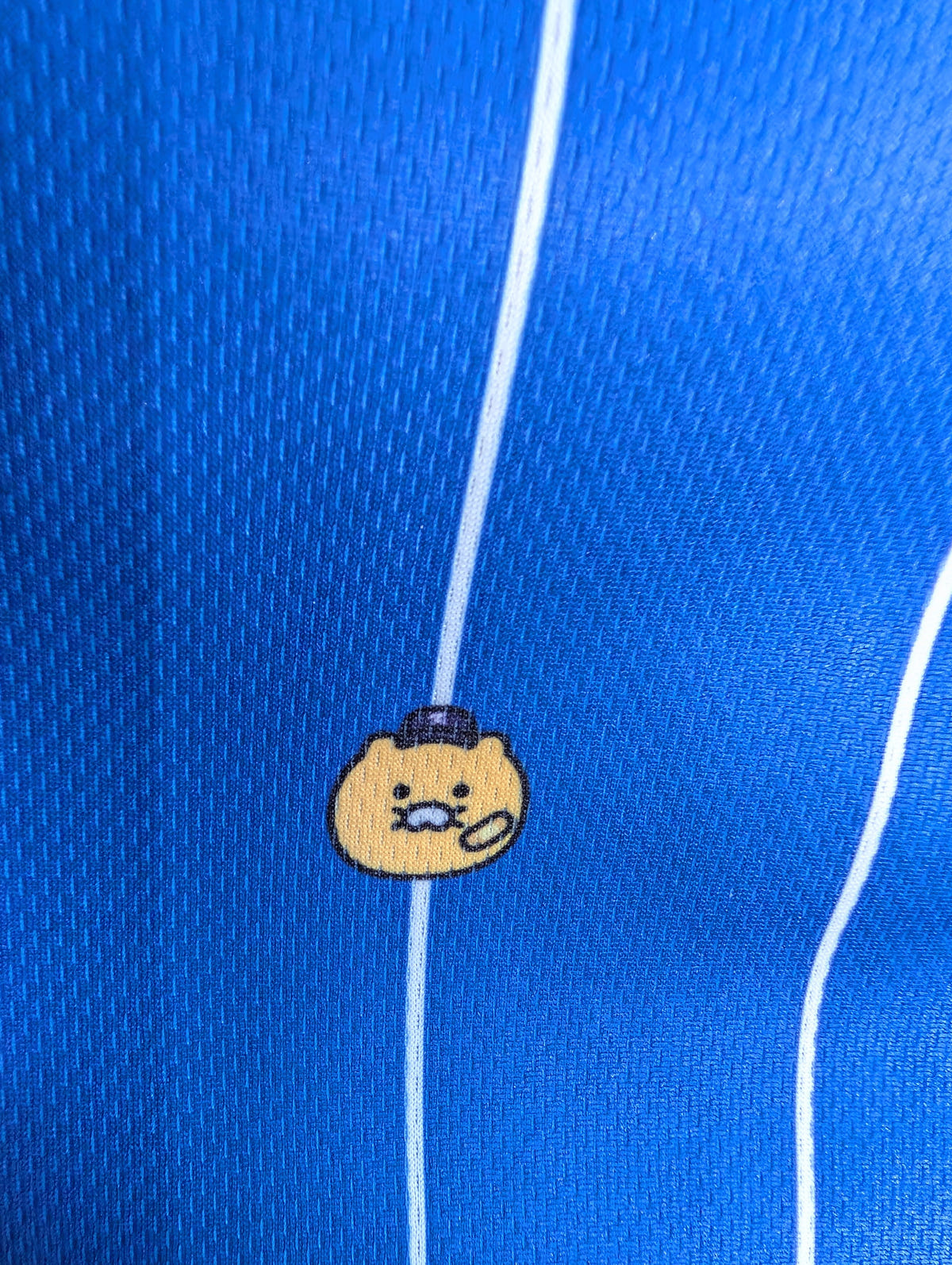 Pro Specs X Kakao Friends Sports for All Choonsik the Cat KBO National Team 2024 XXL, photo 9 image 9