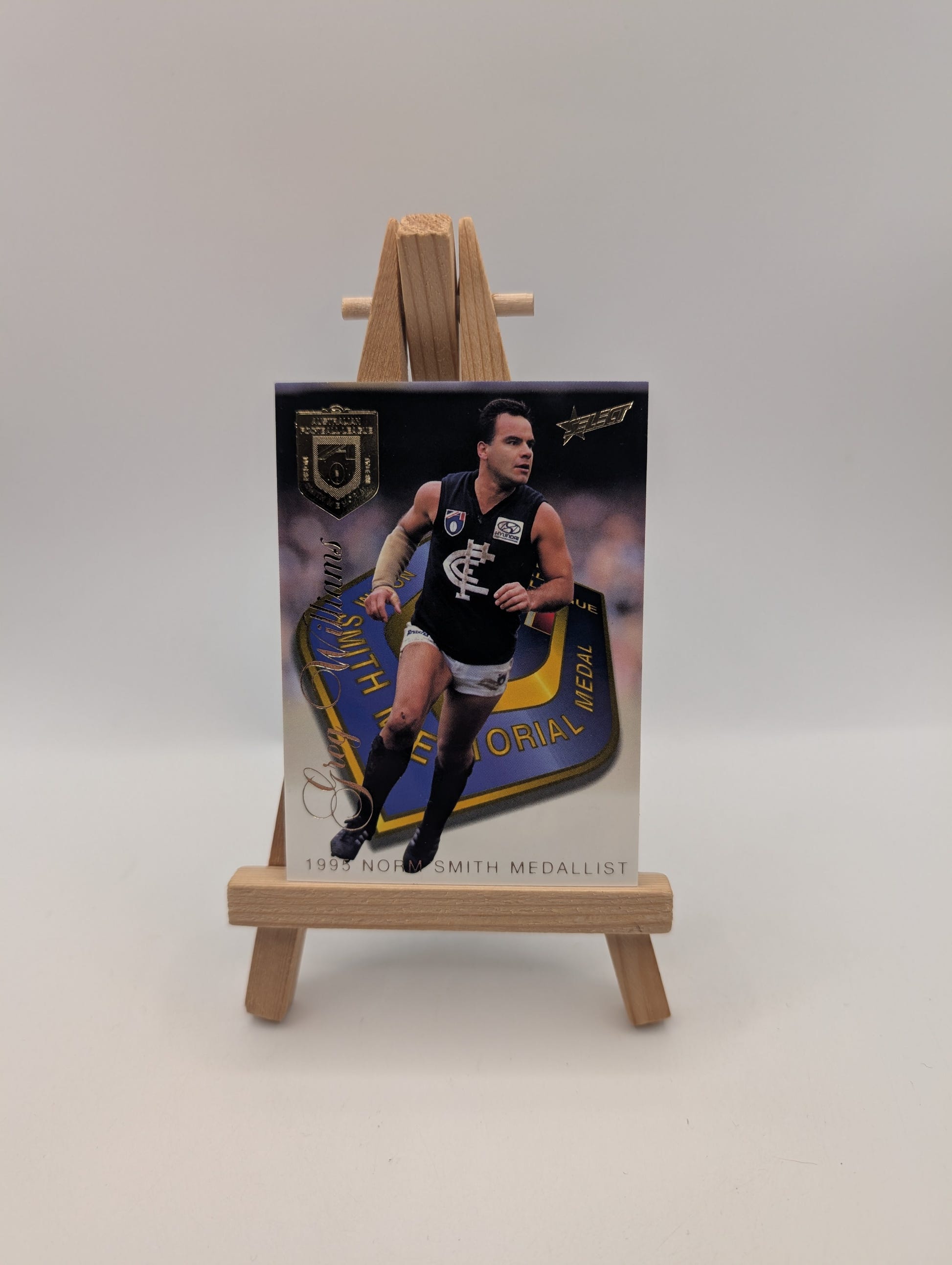 1996 Select AFL Trading Card Series 1 Medal Card MC3 Greg Williams ( Norm Smith) FRENLY BRICKS - Open 7 Days image 1