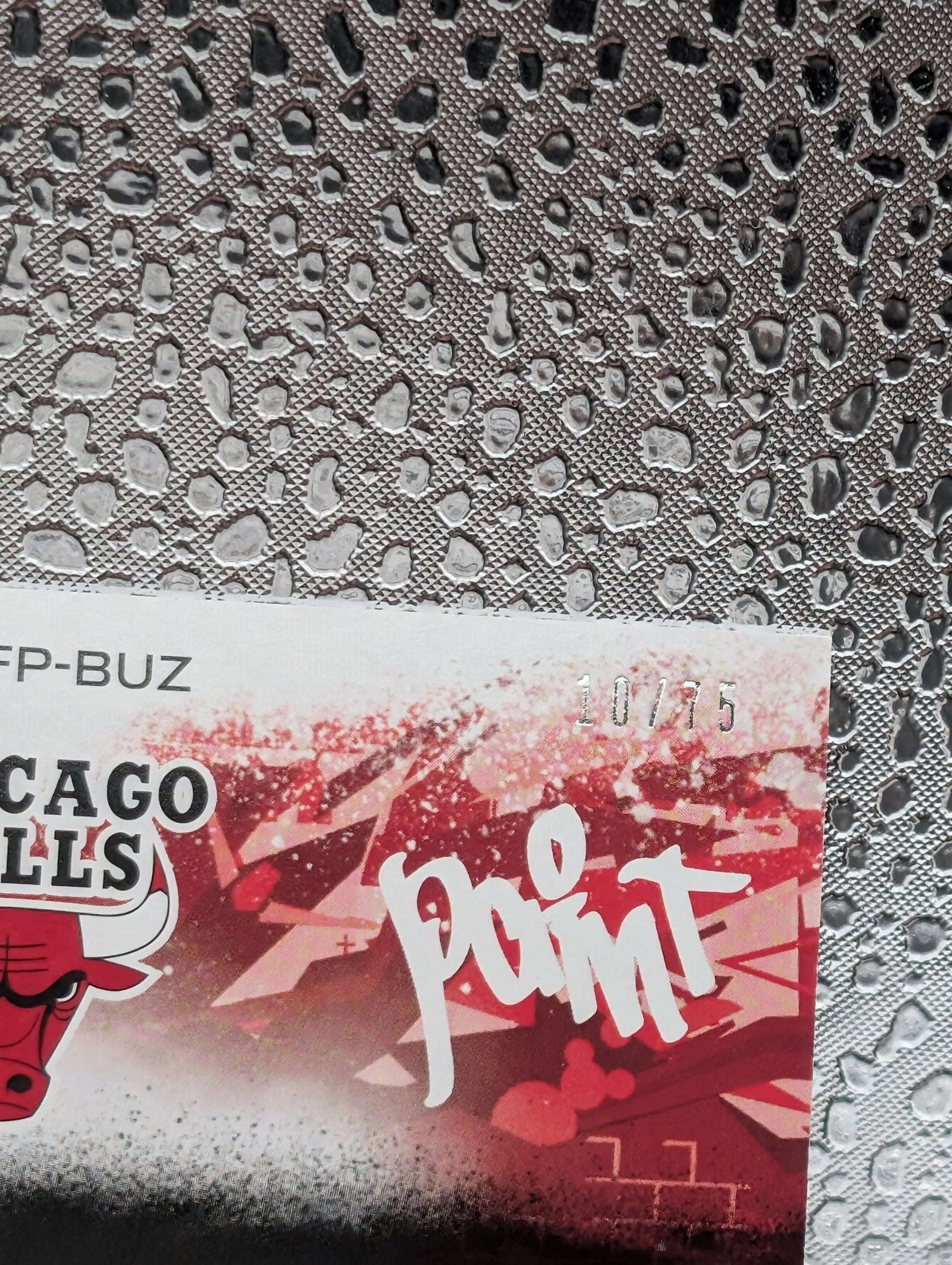 2024/25 Panini Court Kings Matas Buzelis Fresh Paint RC Auto /75 FRENLY BRICKS - Open 7 Days