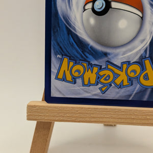 Charizard Vstar - SWSH262 - Black Star Promo - Pokemon Card FRENLY BRICKS - Open 7 Days