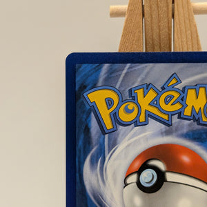 2017 Pokemon Zygarde EX - 54a/124 - Alternate Art Promos - 054a/124 - RAW FRENLY BRICKS - Open 7 Days