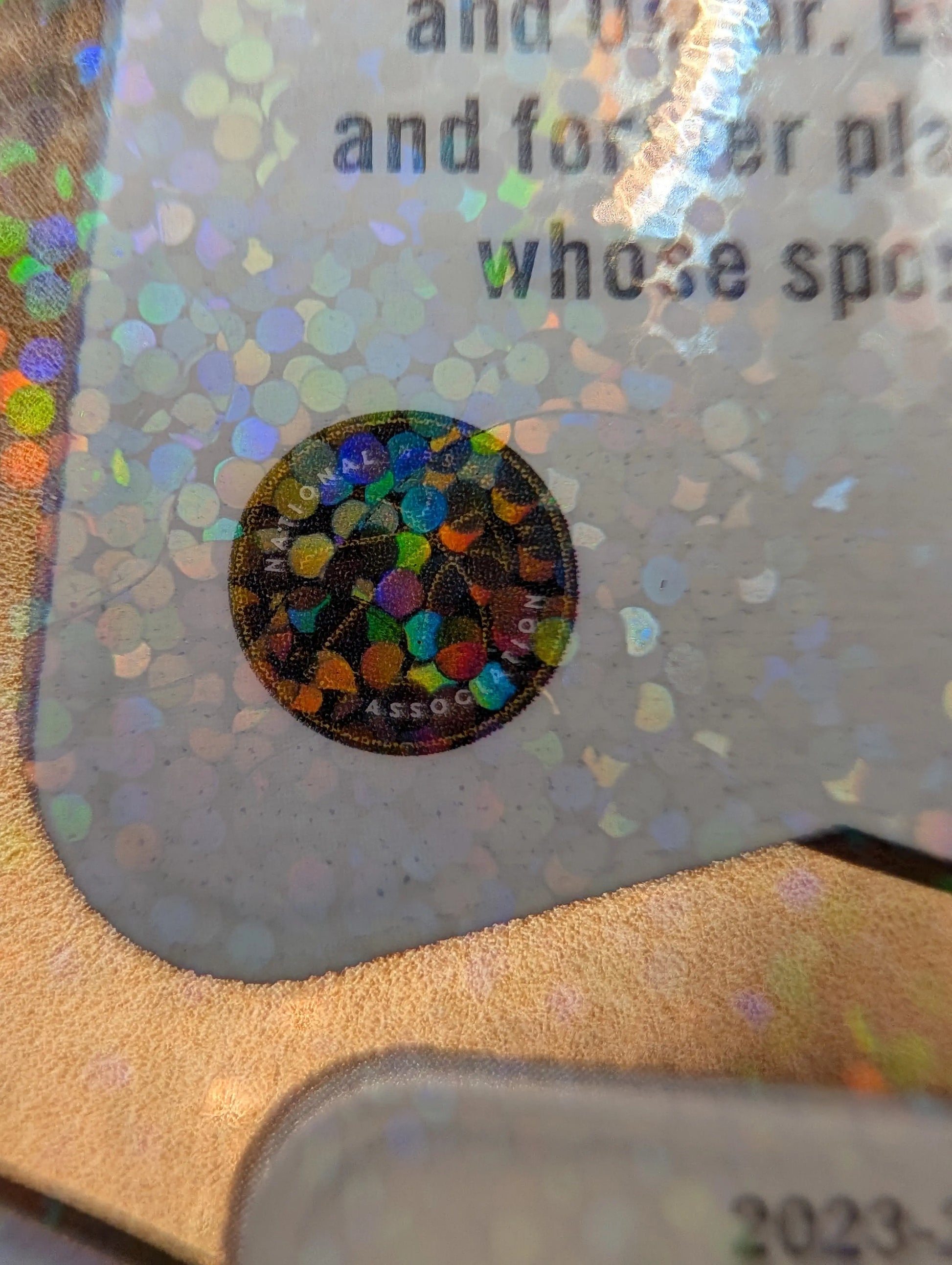 Victor Wembanyama 04/10 Glass Masters Panini Elite FRENLY BRICKS - Open 7 Days