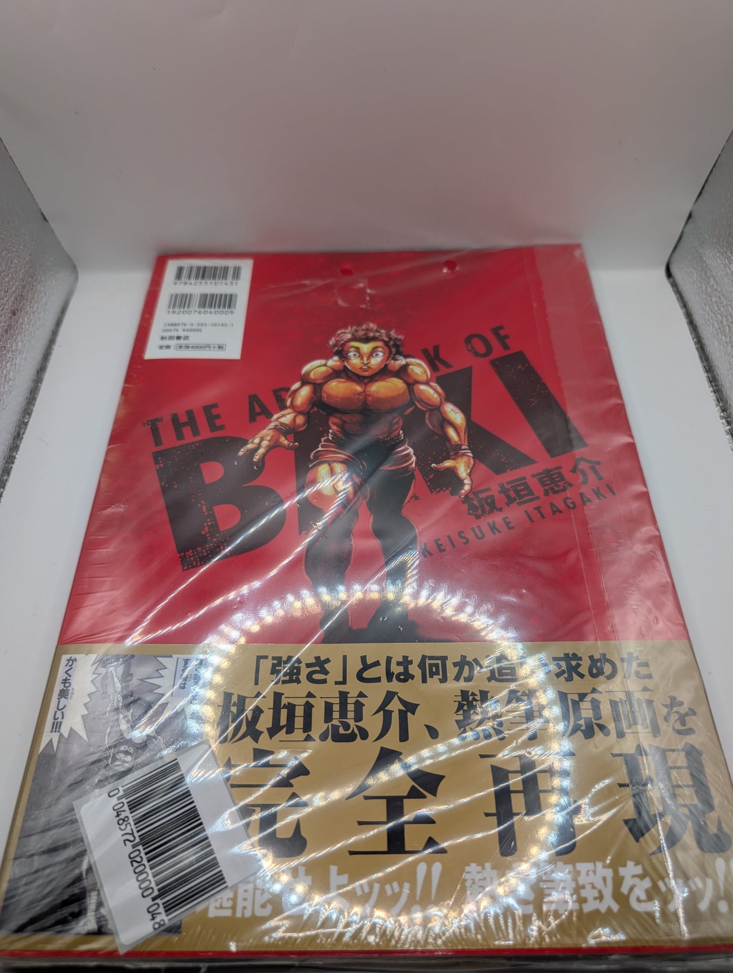 BAKI 30th Anniversary Art Book THE ARTWORK OF BAKI Large Format from Japan FRENLY BRICKS - Open 7 Days