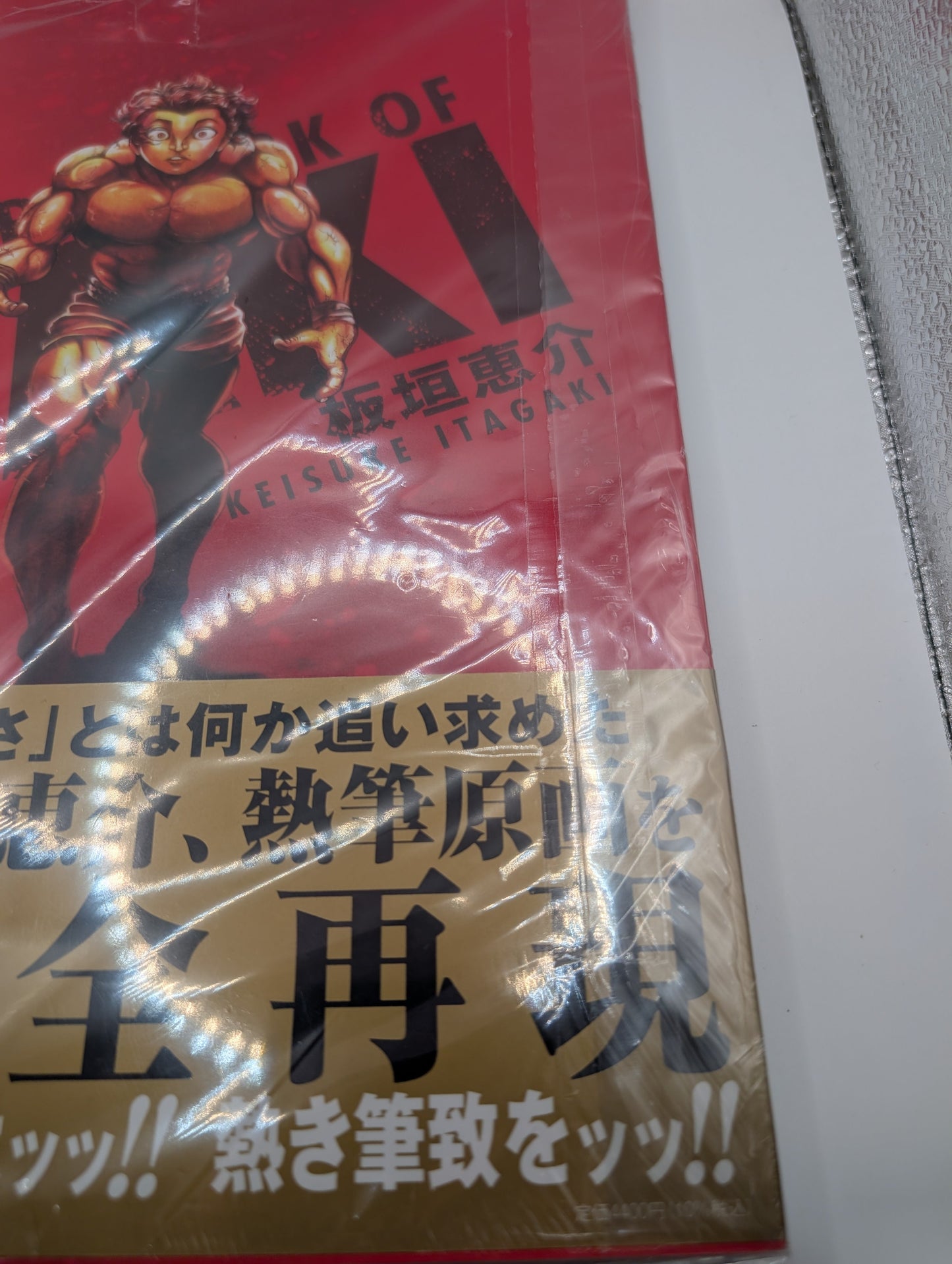BAKI 30th Anniversary Art Book THE ARTWORK OF BAKI Large Format from Japan FRENLY BRICKS - Open 7 Days