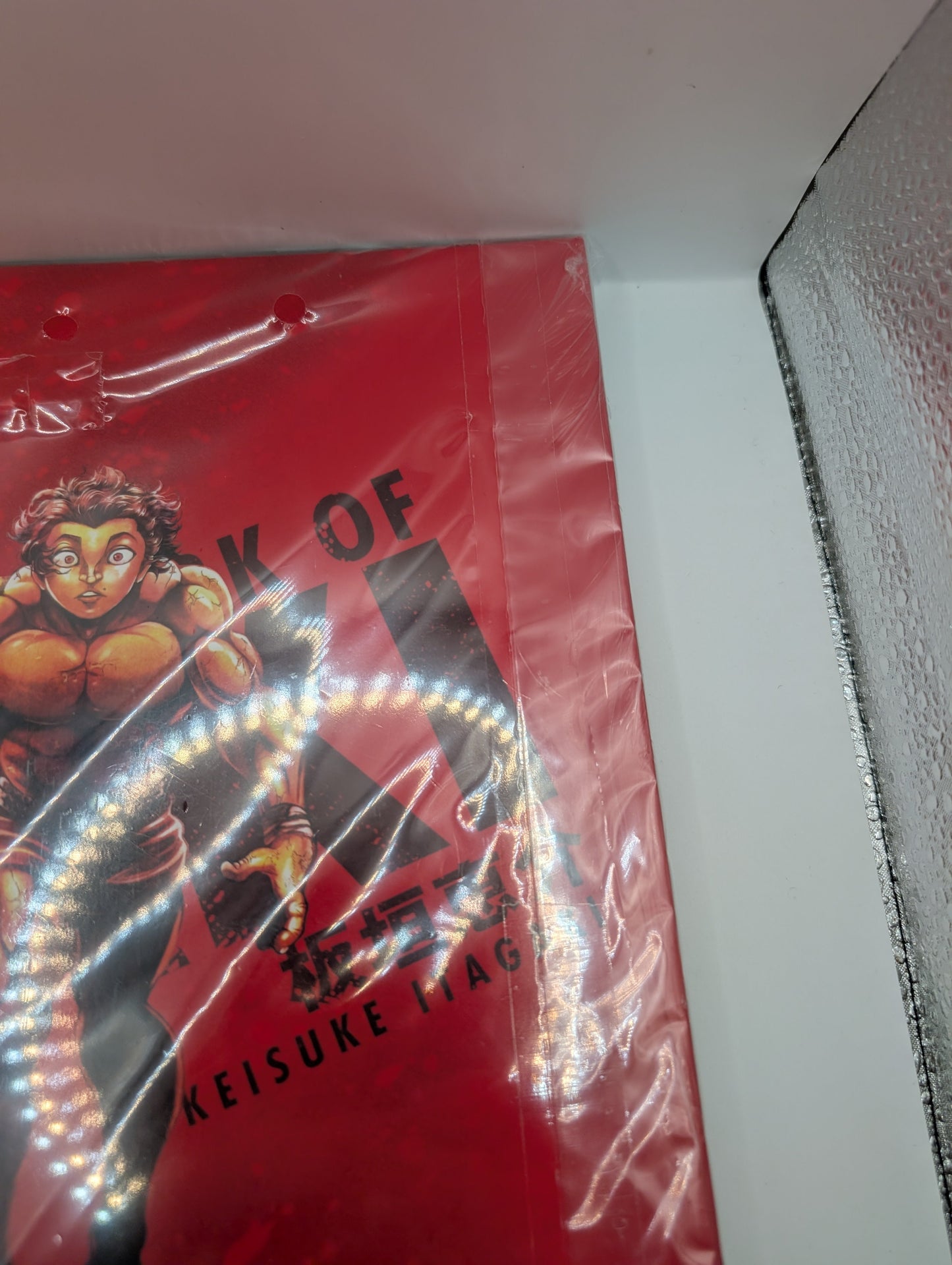BAKI 30th Anniversary Art Book THE ARTWORK OF BAKI Large Format from Japan FRENLY BRICKS - Open 7 Days