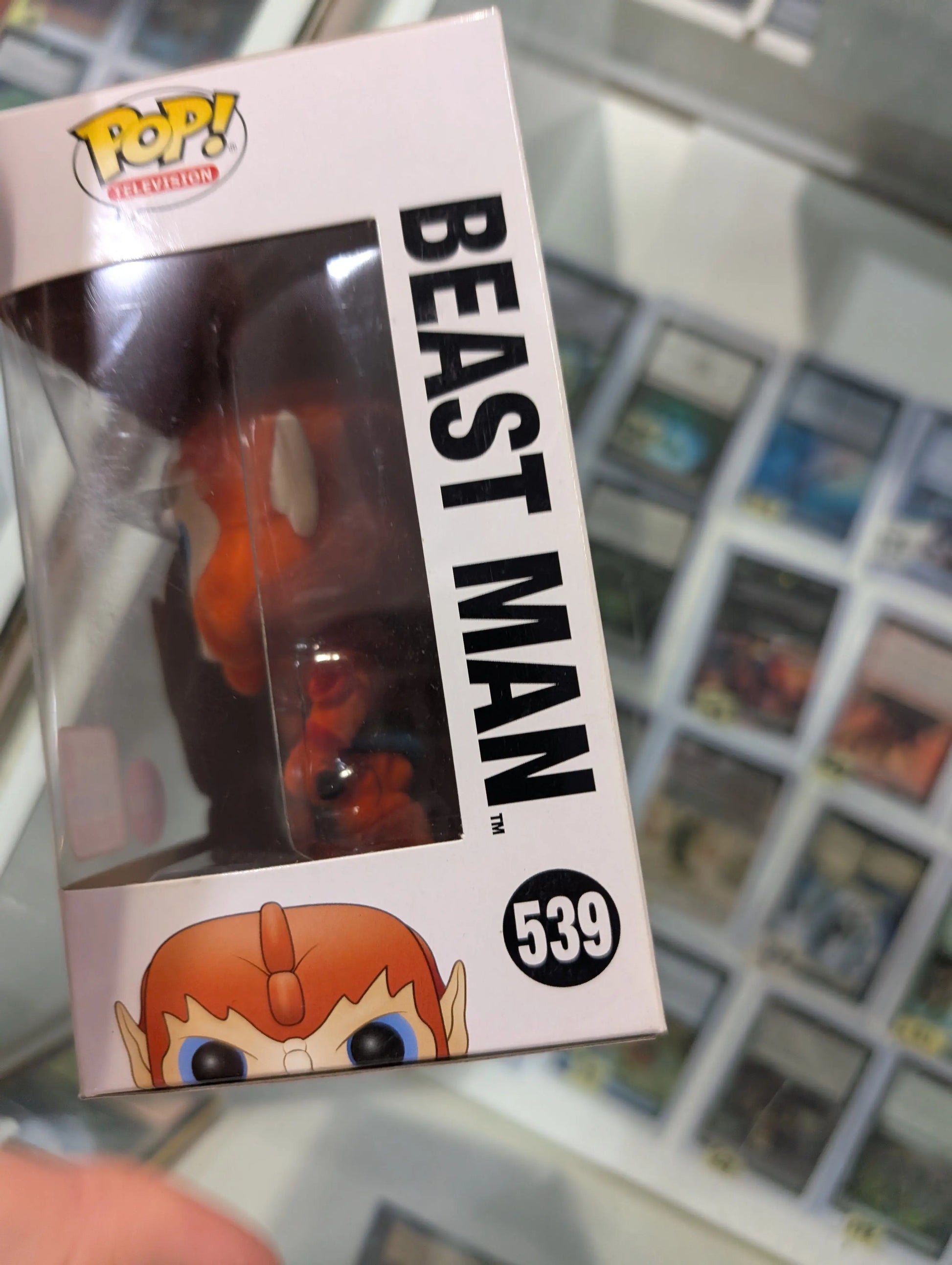 Beast Man Pop 539 Flocked - MOTU Funko Pop! Vinyl - 2017 Fall Convention FRENLY BRICKS - Open 7 Days