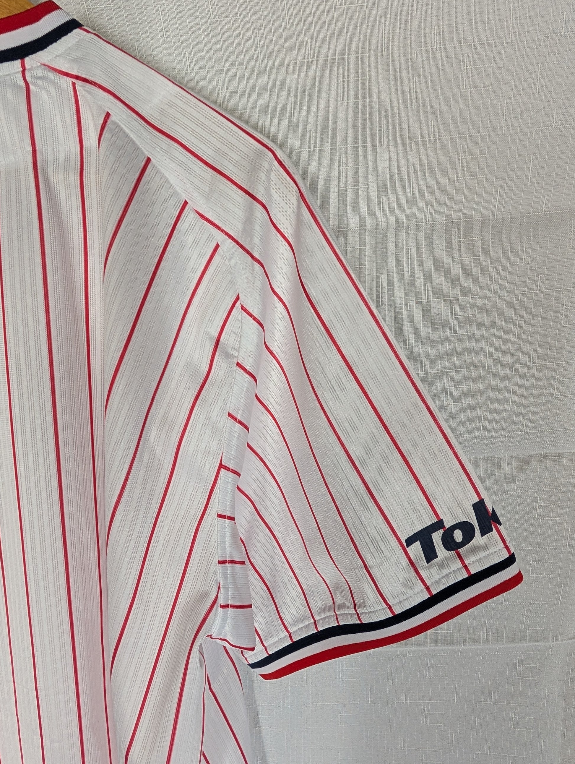 Nippon Baseball Tokyo Yakult Swallows 2016-2019 Home White/Red Blank XL Jersey